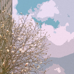 美女全裸被操图片
